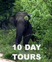 10 days tour